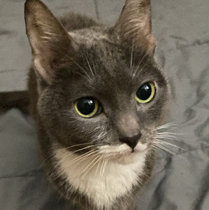 Meet your Posher, Nicholas